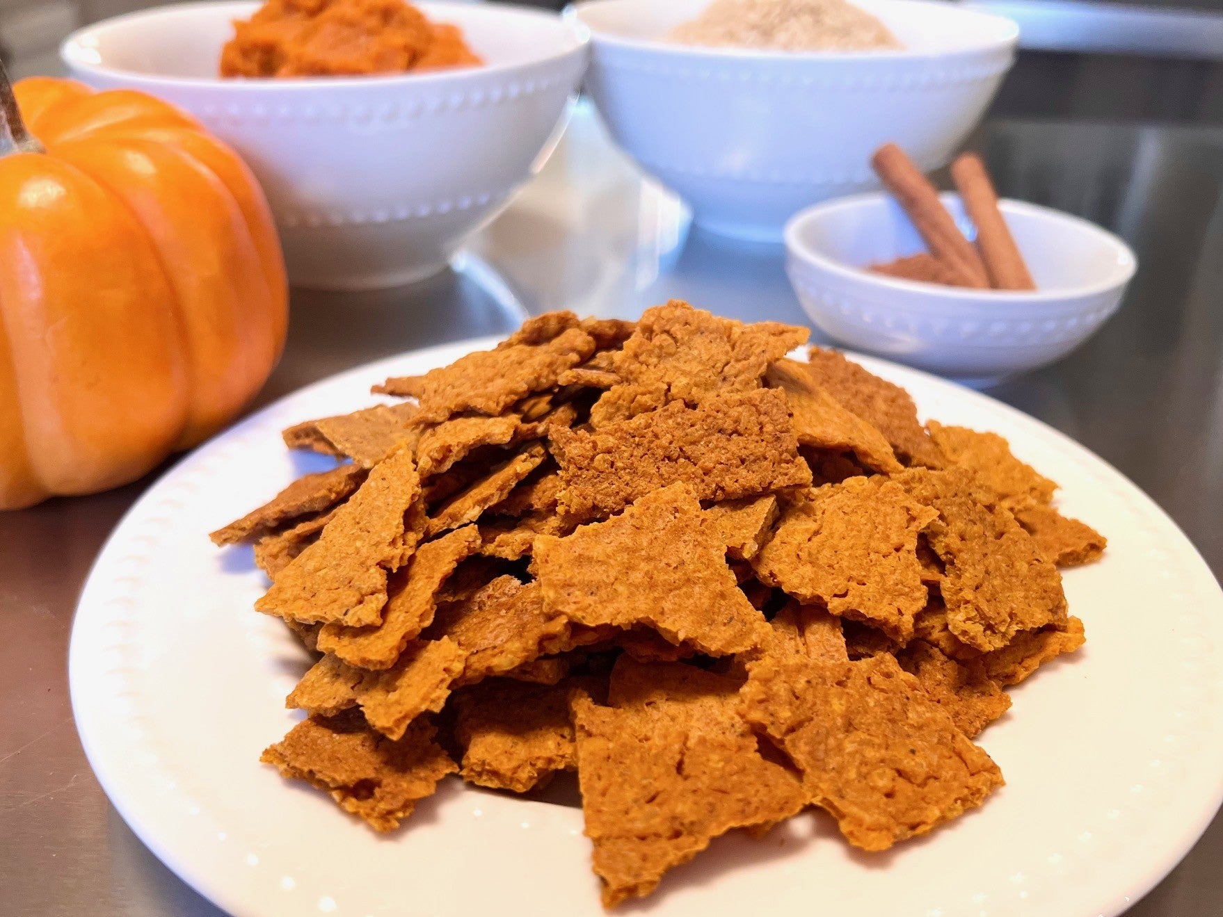 Pumpkin Bliss – Paw Party LLC