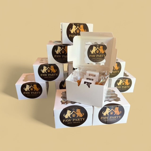 Pumpkin Bliss – Paw Party LLC